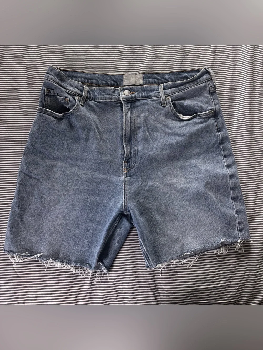 Everlane Blue Denim Cutoff Shorts